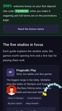 YourWin24 Casino Mobile Game Developers