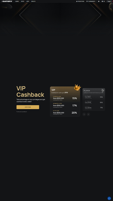 Programma VIP Batery Mobile