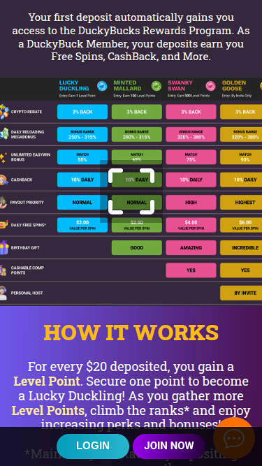 Programma VIP mobile del casinò DuckyLuck