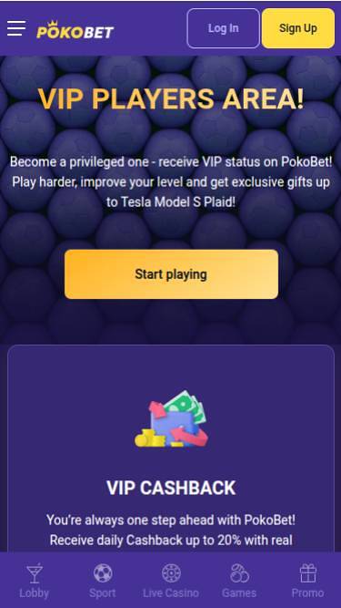 PokoBet VIP Program
