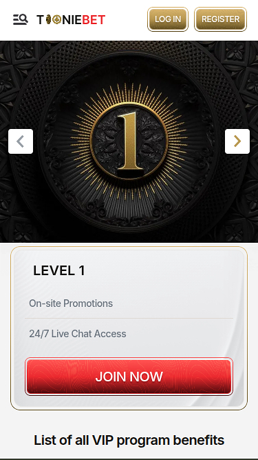 Programme VIP mobile du casino ToonieBet