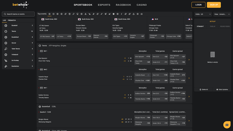 Betwhale Casino Desktop Sports