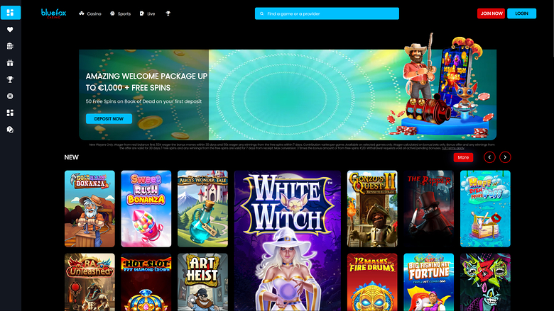 Homepage desktop di Blue Fox Casino