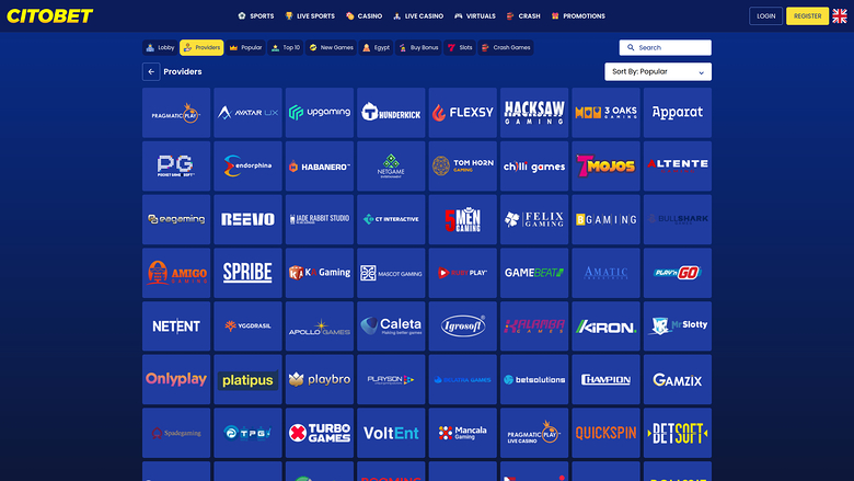 Citobet Sviluppatori di Giochi Desktop