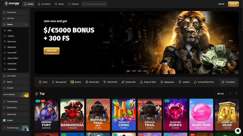 Fortune Play Casino Page d’accueil pour ordinateur