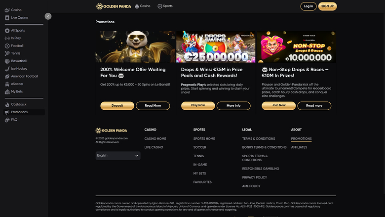 Golden Panda Casino Desktop Promotions