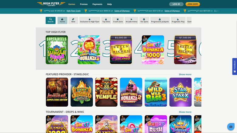 Jeux pour ordinateur de High Flyer Casino