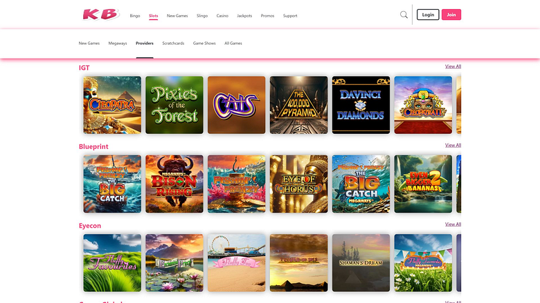  Kitty Bingo Desktop Game Developers
