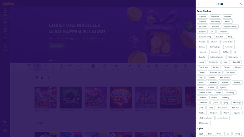 Sviluppatori di giochi desktop Laimz