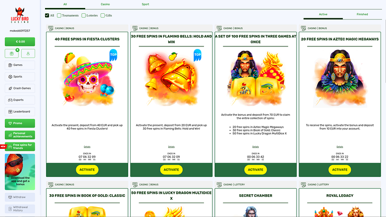 Promotions sur ordinateur du casino Lucky Bird