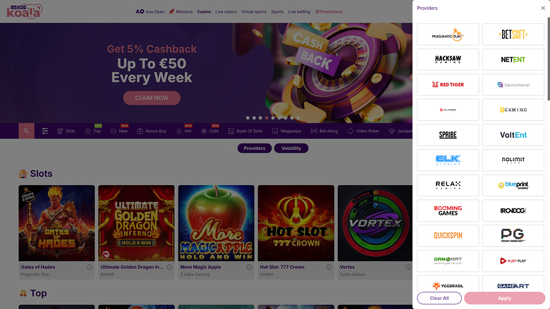 Développeurs de jeux de bureau Lucky Koala