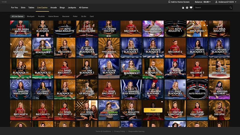 Lucky Nugget Casino Desktop Live-Casino