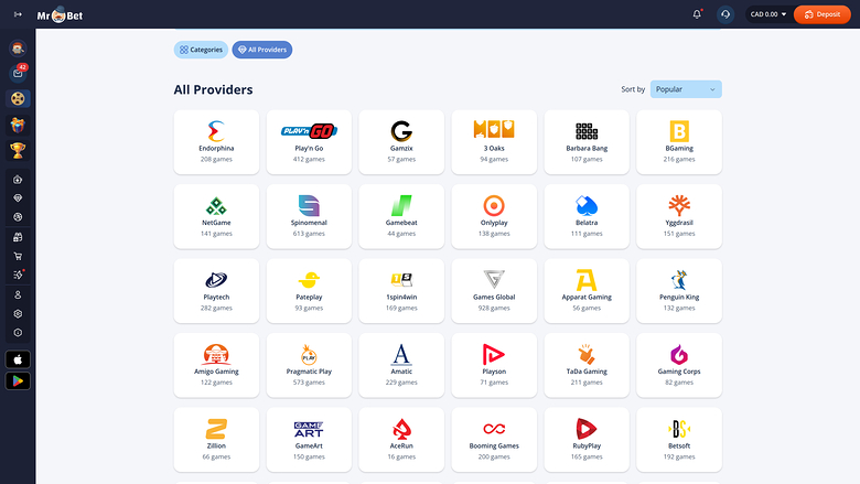 Sviluppatori di giochi desktop di Mr Bet Casino