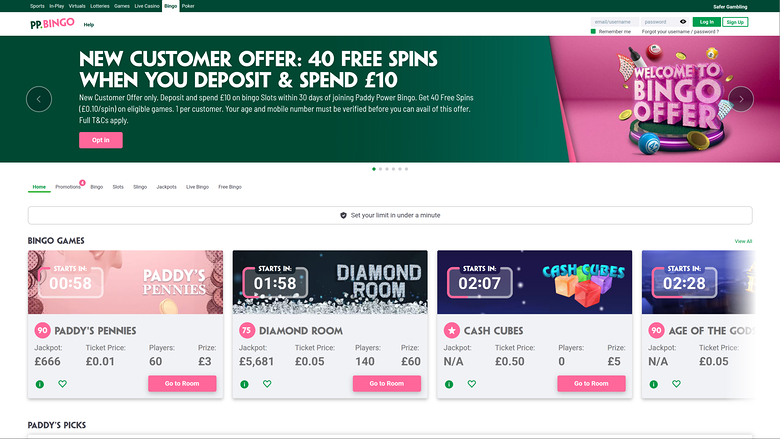 Bingo de escritorio del casino Paddy Power