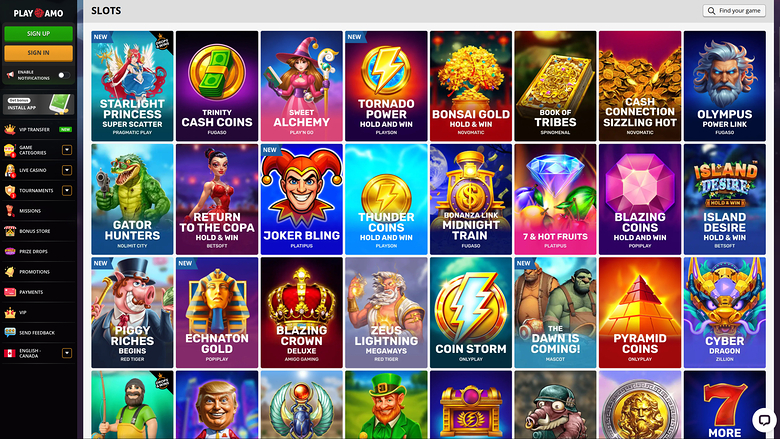 Playamo Casino Desktop Games