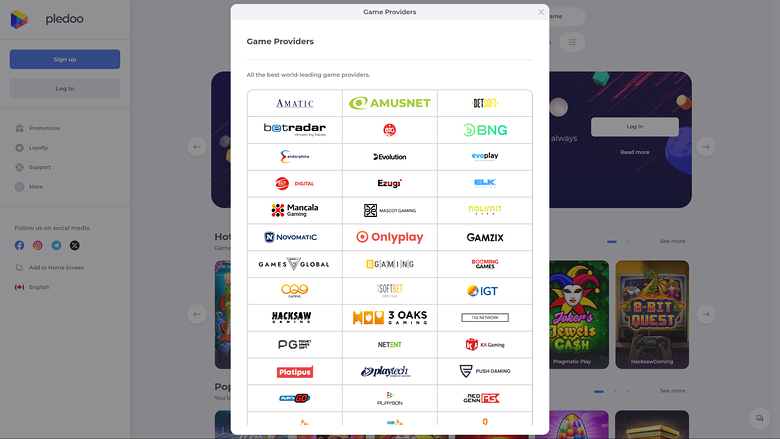 Pledoo Casino Desktop Game Developers