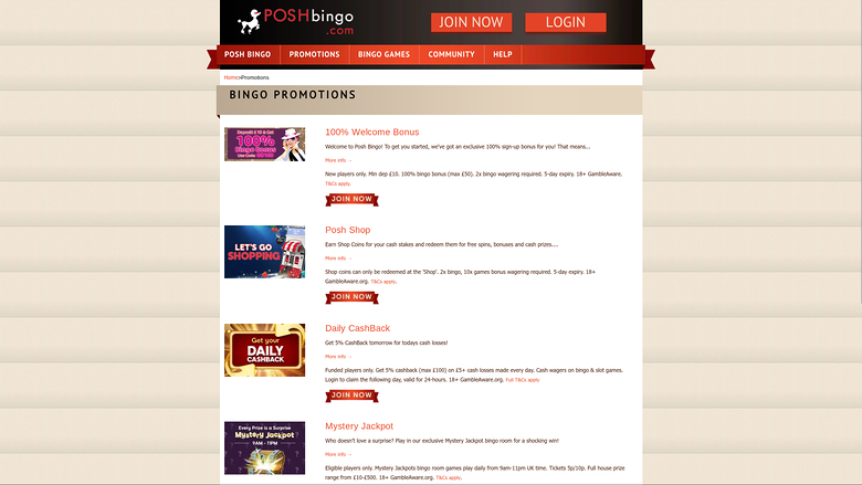 Promotions Posh Bingo sur ordinateur