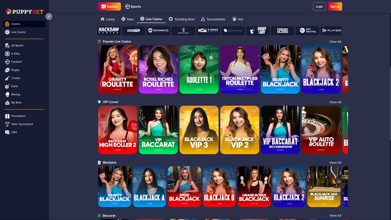 Casino PuppyBet pour ordinateur avec croupier en direct