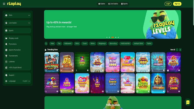Screenshot della homepage di Rioplay Casino per desktop