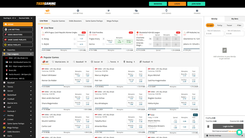 Sports de bureau de TigerGaming Casino