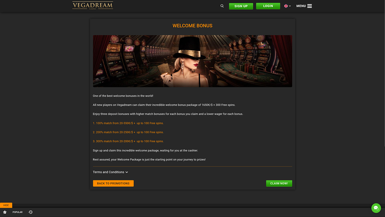 Vegadream Casino Desktop Welcome Bonus