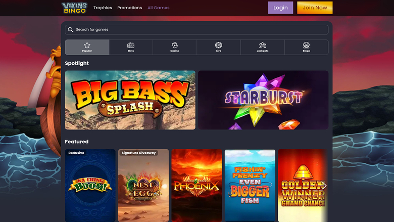 Jeux de bureau de Viking Bingo Casino