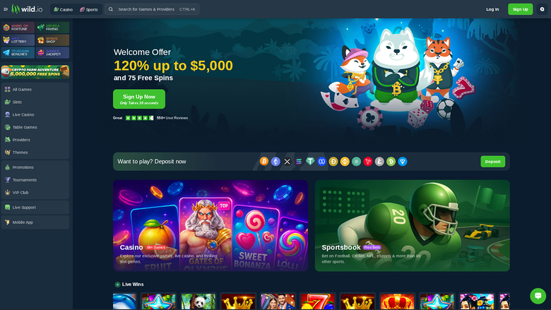 Wild.io Casino Homepage Desktop