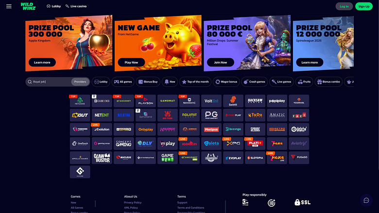 WildWinz Casino game developers page