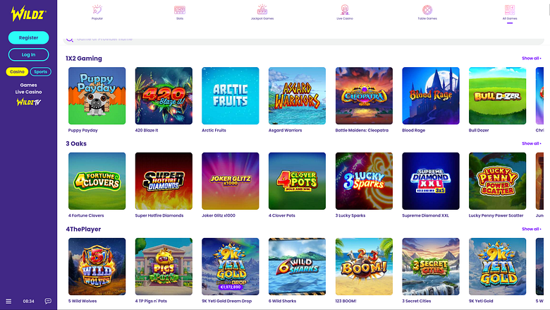 Wildz Casino Desktop Game Developers
