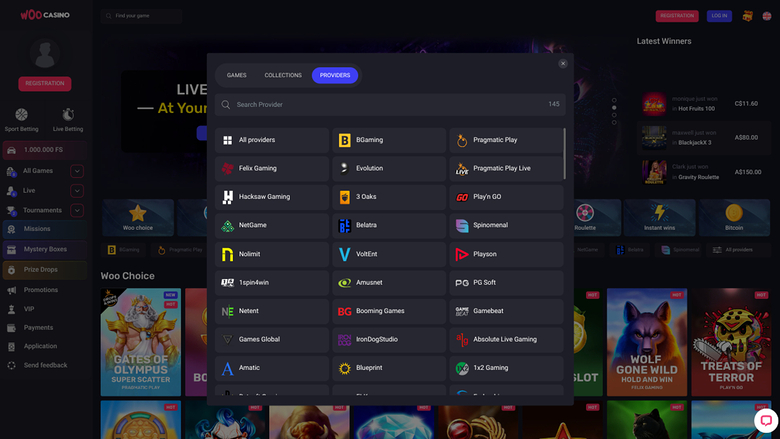 Разработчики игр для компьютера Woo Casino