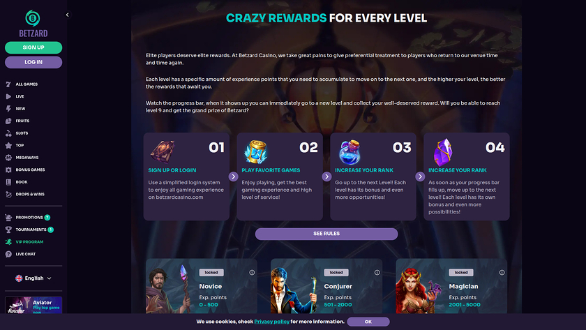 Betzard Casino Desktop VIP Program