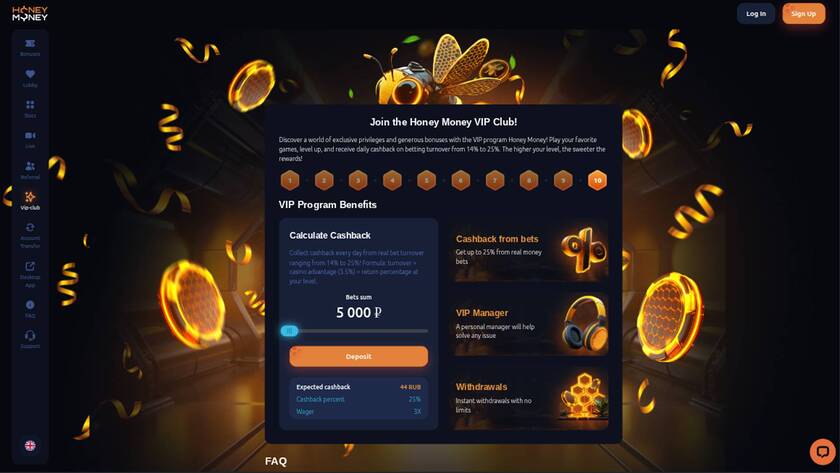 Screenshot della pagina VIP di HoneyMoney Casino