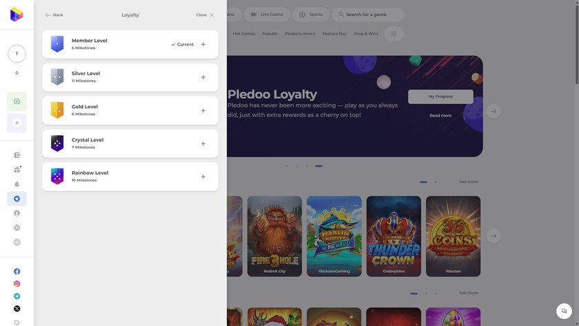 Pledoo Casino Desktop VIP Program