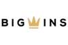 BigWins logo