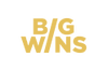 BigWins Casino BigWins Casino logo