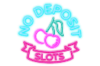 NoDeposit Slots logo