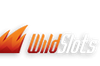 Wild Slots Casino logo