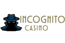 Incognito Casino logo