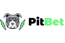 PitBet Casino logo