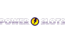 Power Slots Casino logo