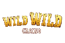 Wild Wild Casino logo
