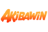 Akibawin Casino logo