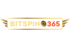 BitSpin365 Casino logo