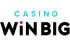 CasinoWinBig logo