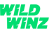 WildWinz Casino logo