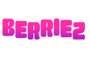 Berriez Casino logo