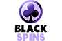 Black Spins Casino logo