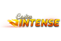Casino Intense logo