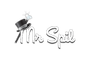 Mr Spil Casino logo