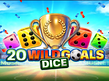 Preview image of 20 Wild Goals Dice